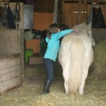 Pferd müsste man sein, herrlich ist das!