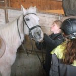 ... am besten sind doch die Ponys.
