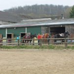 Putzen, Satteln und Trensen vor dem Reiten.