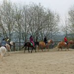 Die Reitlehrerin Katharina hat alles im Blick.