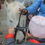 Die Reitlehrerin Katharina hilft nochmal.
