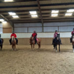 Ob die Ponys für das Foto stillhalten?