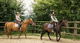 Reitlehrer (m/w) im Westerwald