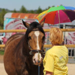 Hier wird er Regenschirm zum Sonnenschein und das Pferd bleibt cool.