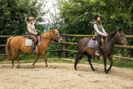 Ponyreiten für Kinder