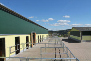 Die großen und luftigen Einzelpaddocks.