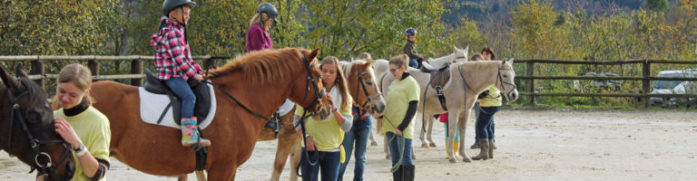 Neue Pferdepension in Daaden