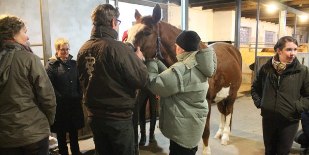 Erste Hilfe fürs Pferd Erste Hilfe fürs Pferd