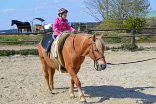 Zum Geburtstag Ponyreiten: riesig!!!