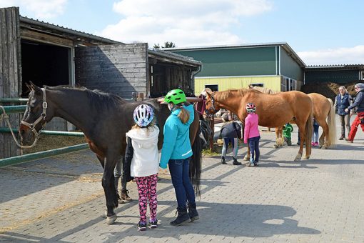 Wellness als Belohnung für die braven Ponys.