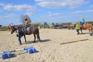 Mit mehreren Pferden gleichzeitig.