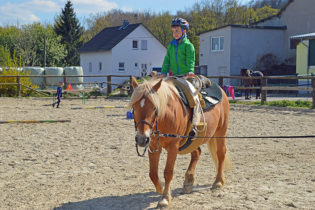 Mit einem Reitlehrer Pferdeluft schnuppern.