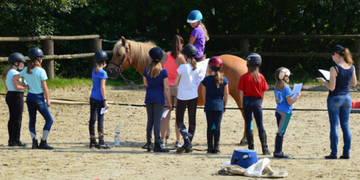 Reitschule in Daaden feiert