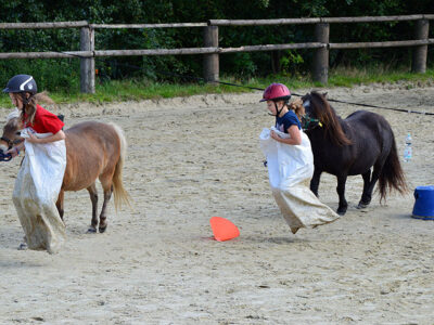 Das guckten die Ponys überrascht. Auch die Kids können hüpfen.