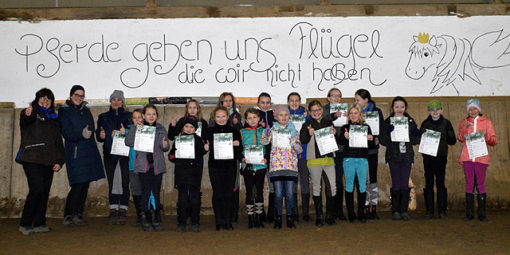 Reitabzeichenlehrgang Hof-Silberberg Daaden