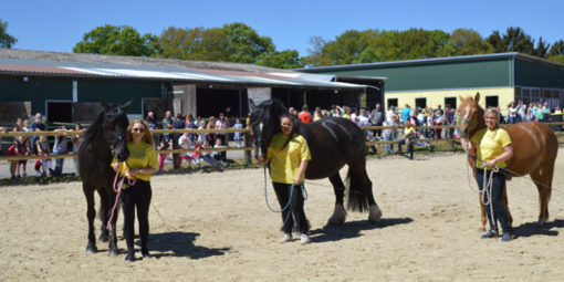 Tag der offenen Stalltür Hof-Silberberg