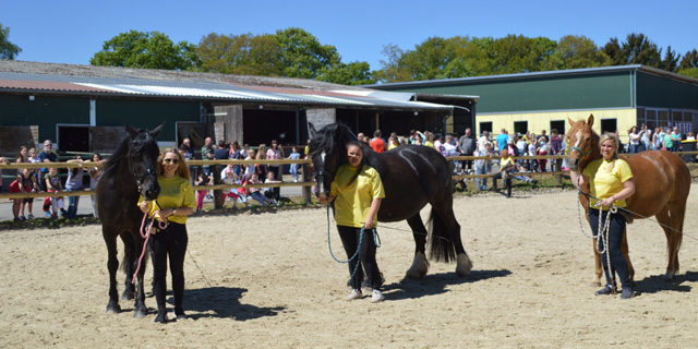 Tag der offenen Stalltür Hof-Silberberg