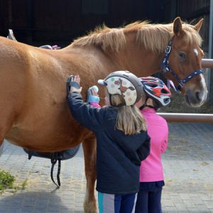 Kinderferien im Westerwald