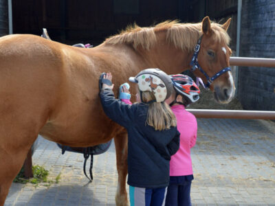 Kinderferien im Westerwald
