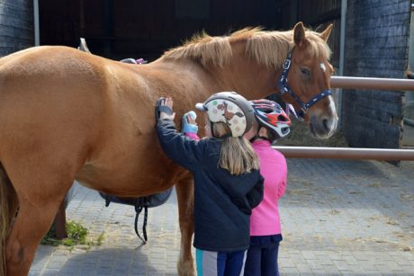 Kinderferien im Westerwald