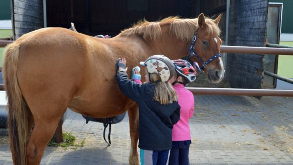 Kinderferien im Westerwald