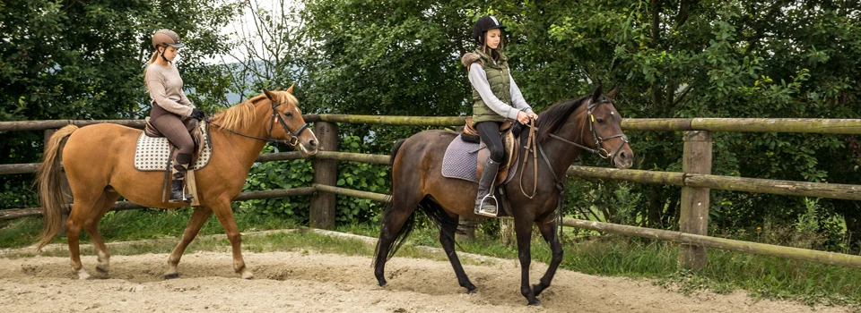 Ponyreiten Startseite